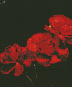 Black And Red Flowers Diamond Painting