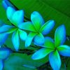 Blooming Blue And Green Flowers Diamond Painting