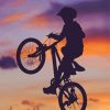 Boy With Bike Sunset Silhouette Diamond Painting