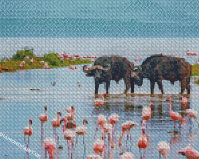 Buffalo And Flamingos In Nakuru Lake Diamond Painting