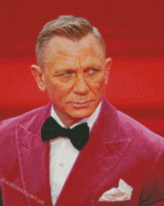 Daniel Craig On The Red Carpet Diamond Painting