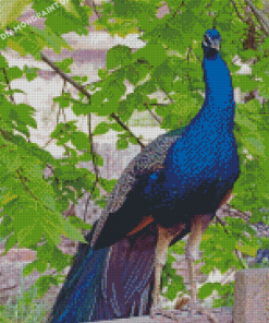 Indian Blue Peacock On A Fence Diamond Painting