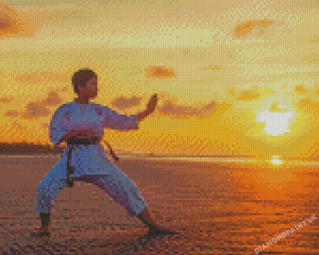 Karate Girl Diamond Painting