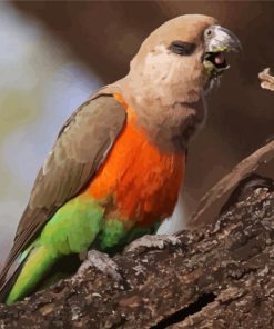Red Bellied Parrot Diamond Painting