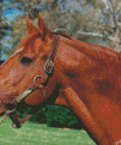 Secretariat Horse Diamond Painting