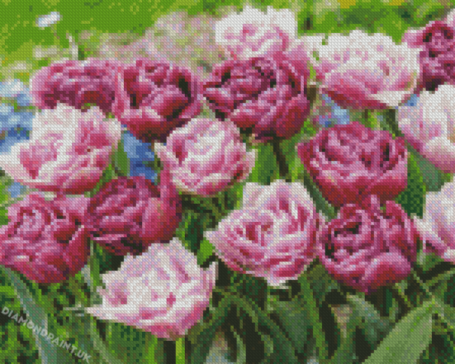 The Peony Tulip Flowers Diamond Painting