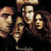 The Twilight Saga New Moon Movie Poster Diamond Painting