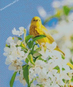 Yellow Bird And White Flowers Diamond Painting