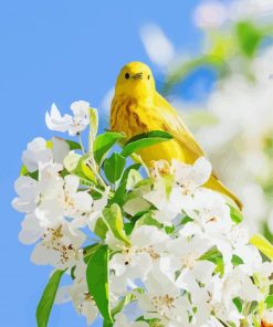 Yellow Bird And White Flowers Diamond Painting