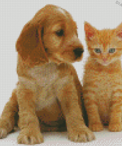 Aesthetic Tabby Kitten And Golden Spaniel Puppy Diamond Painting