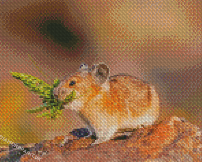 American Pika Diamond Painting