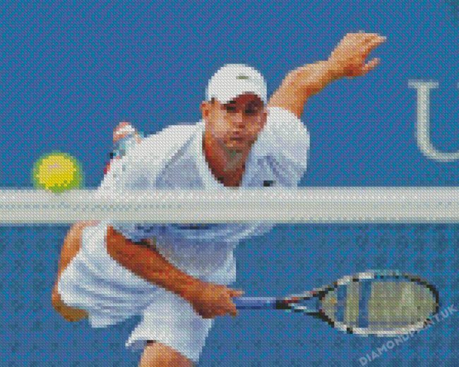 Andy Roddick Diamond Painting