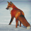 Animal Fox In Snow Diamond Painting