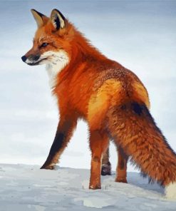 Animal Fox In Snow Diamond Painting