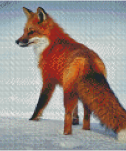 Animal Fox In Snow Diamond Painting