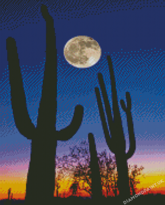 Arizona Desert In Moonlight Diamond Painting