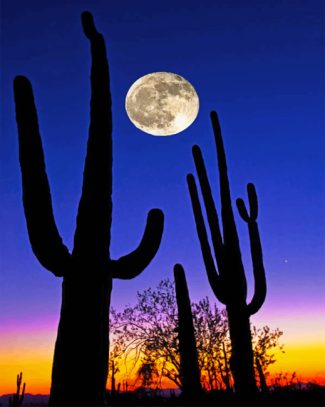 Arizona Desert In Moonlight Diamond Painting