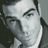 Black And White Zachary Quinto Diamond Painting