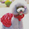 Cute Grey Dog In Dress Diamond Painting