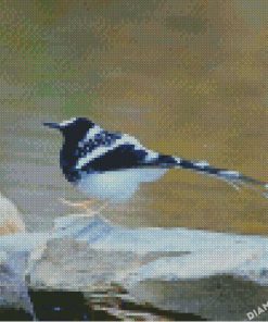 Lonely Forktail Diamond Painting