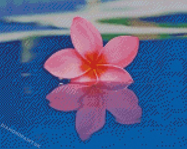 Pink Plumeria Flower In Water Diamond Painting