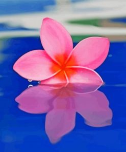 Pink Plumeria Flower In Water Diamond Painting