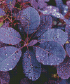 Purple Leafed Diamond Painting