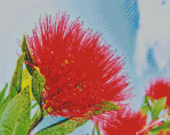 Red Pohutukawa Flower Diamond Painting