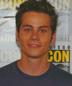 Smiling Dylan Obrien Diamond Painting