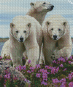 White Bears In Lavender Field Diamond Painting