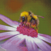 Bee On Purple Flower Diamond Painting