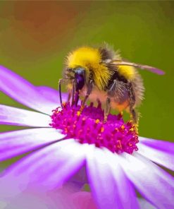Bee On Purple Flower Diamond Painting