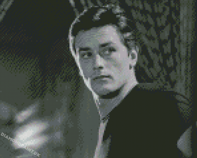 Black And White Young Alain Delon Diamond Painting