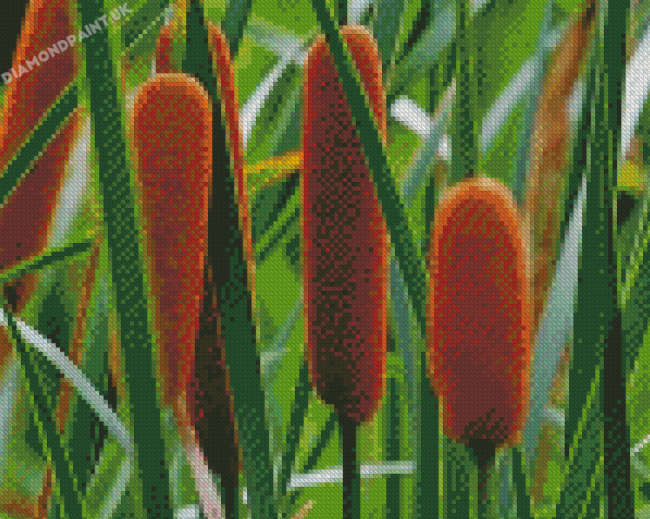 Cattail Flowering Plant Diamond Painting