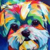 Colorful Shih Tzu Dog Diamond Painting