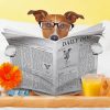 Dog With Newspaper Diamond Painting