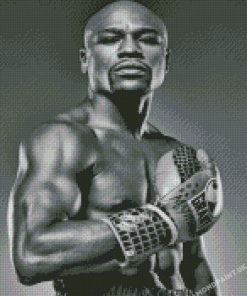 Floyd Mayweather In Black And White Diamond Painting