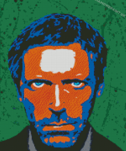 Illustration Hugh Laurie Diamond Painting