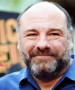 James Gandolfini Face Diamond Painting