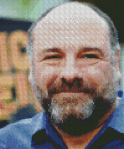 James Gandolfini Face Diamond Painting