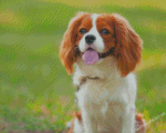 King Spaniel Diamond Painting