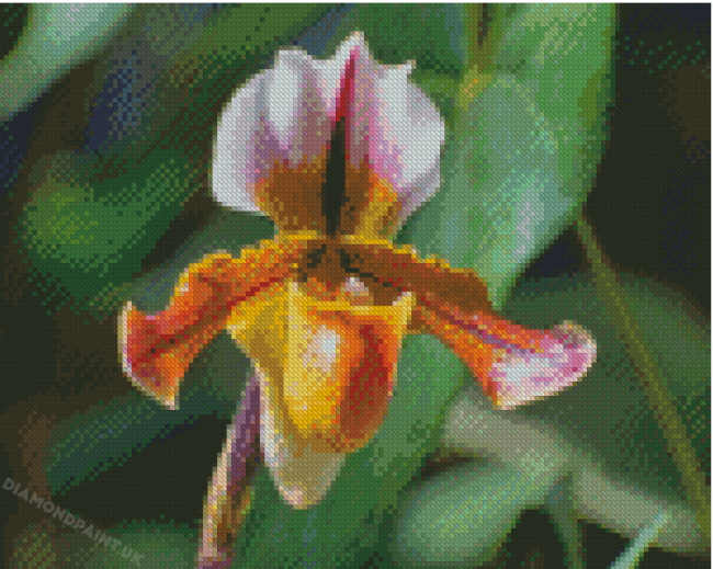 Lady Slipper Flower Diamond Painting