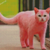 Pink Cat Diamond Painting
