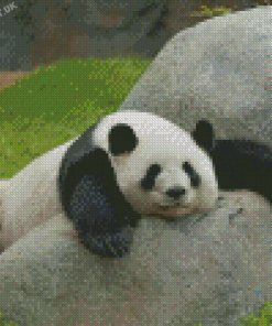 Sleeping Panda Animal Diamond Painting