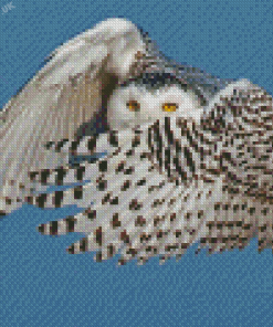 Snowy Owl Diamond Painting