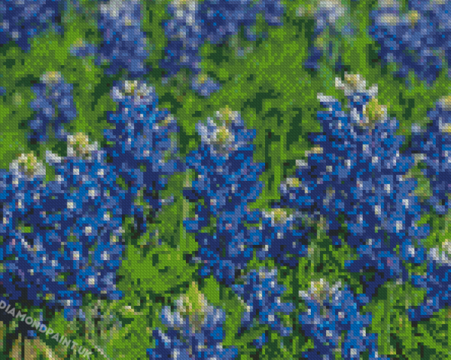 Texas Bluebonnets Plants Diamond Painting