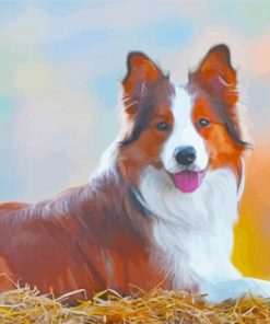 The Red And White Border Collie Diamond Painting