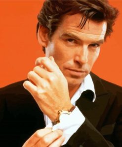 Young Pierce Brosnan Actor Diamond Painting