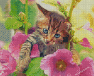 Aesthetic Cat And Flowers Diamond Painting