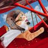 Aesthetic Pilot Cat Diamond Painting